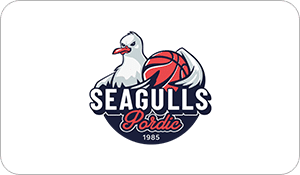 Seagulls Pordic
