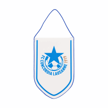 Bedrukt vaantje