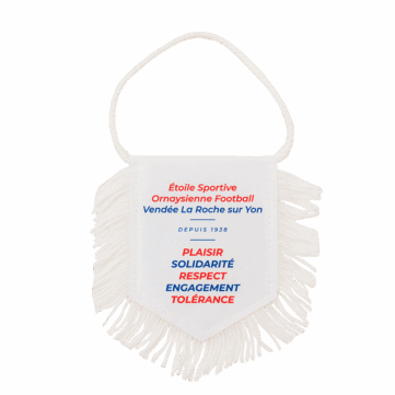 Bedrukt vaantje