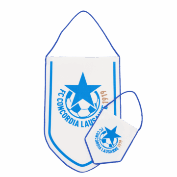 Bedrukt vaantje