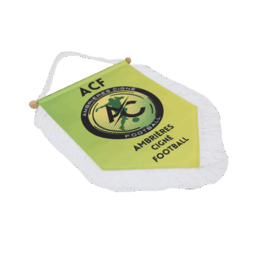 Groot vaantje op maat