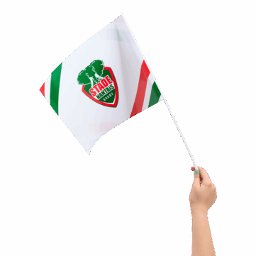 Papieren zwaaivlaggetjes