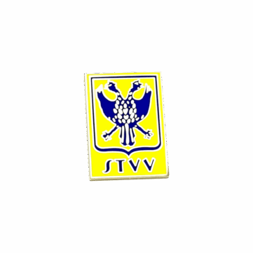 Pins op maat