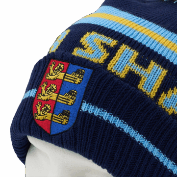 Wintermuts