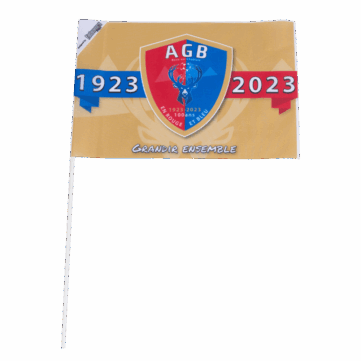 Zwaaivlaggetjes op maat